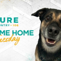 Take Me Home Tuesday