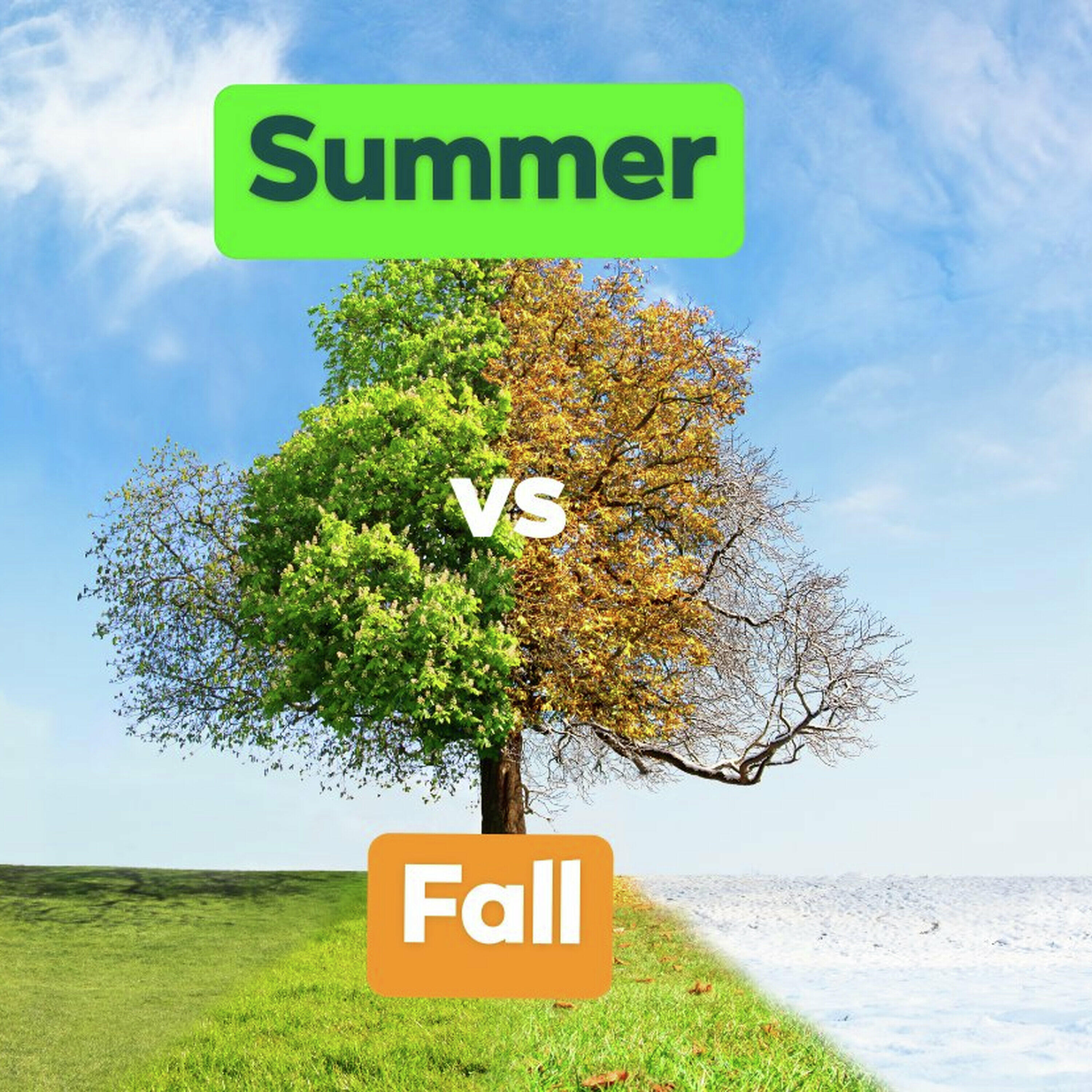 Summer is better, right? ......right?!