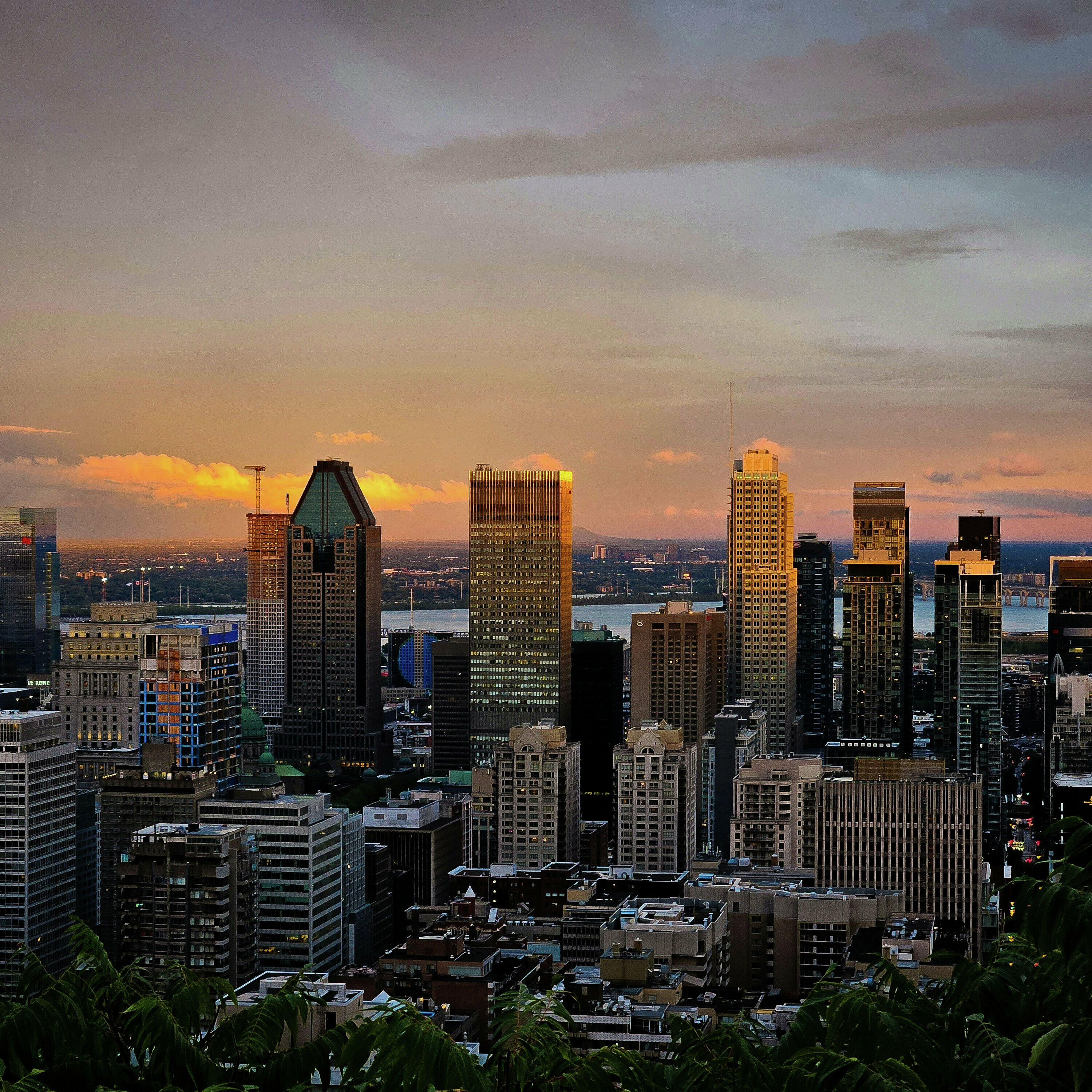 What Do You Think Of THESE Hypothetical Mayoral Promises?