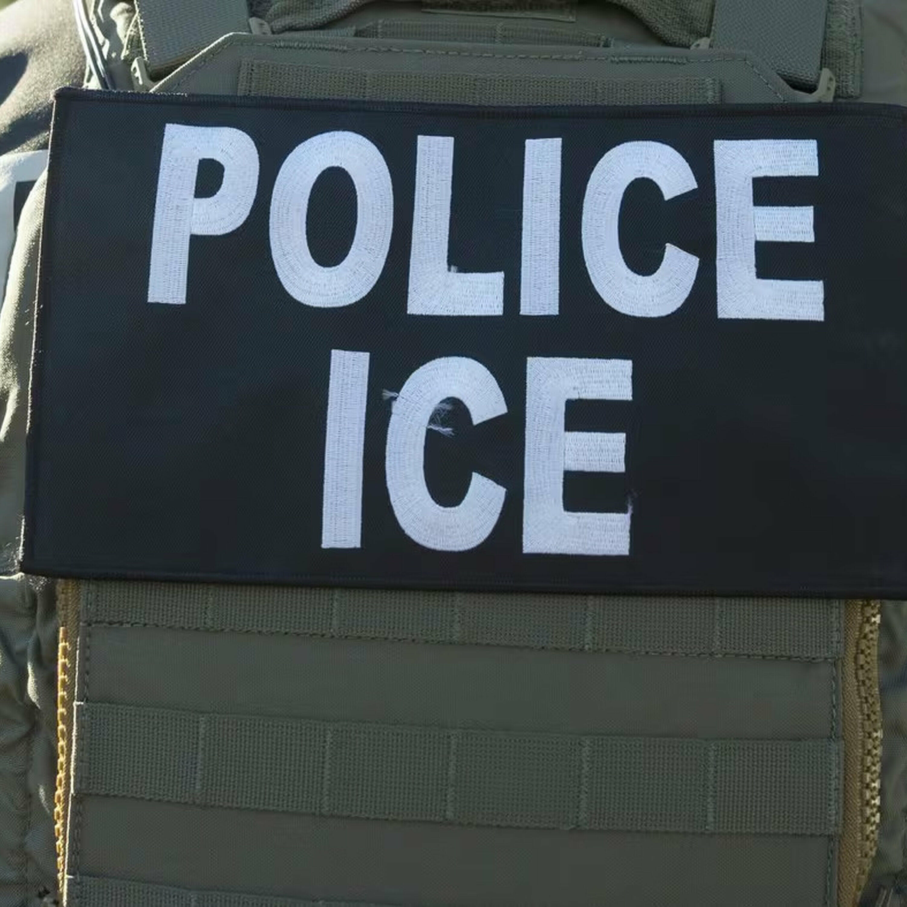There are nearly 150 Canadians held by ICE - who are they?