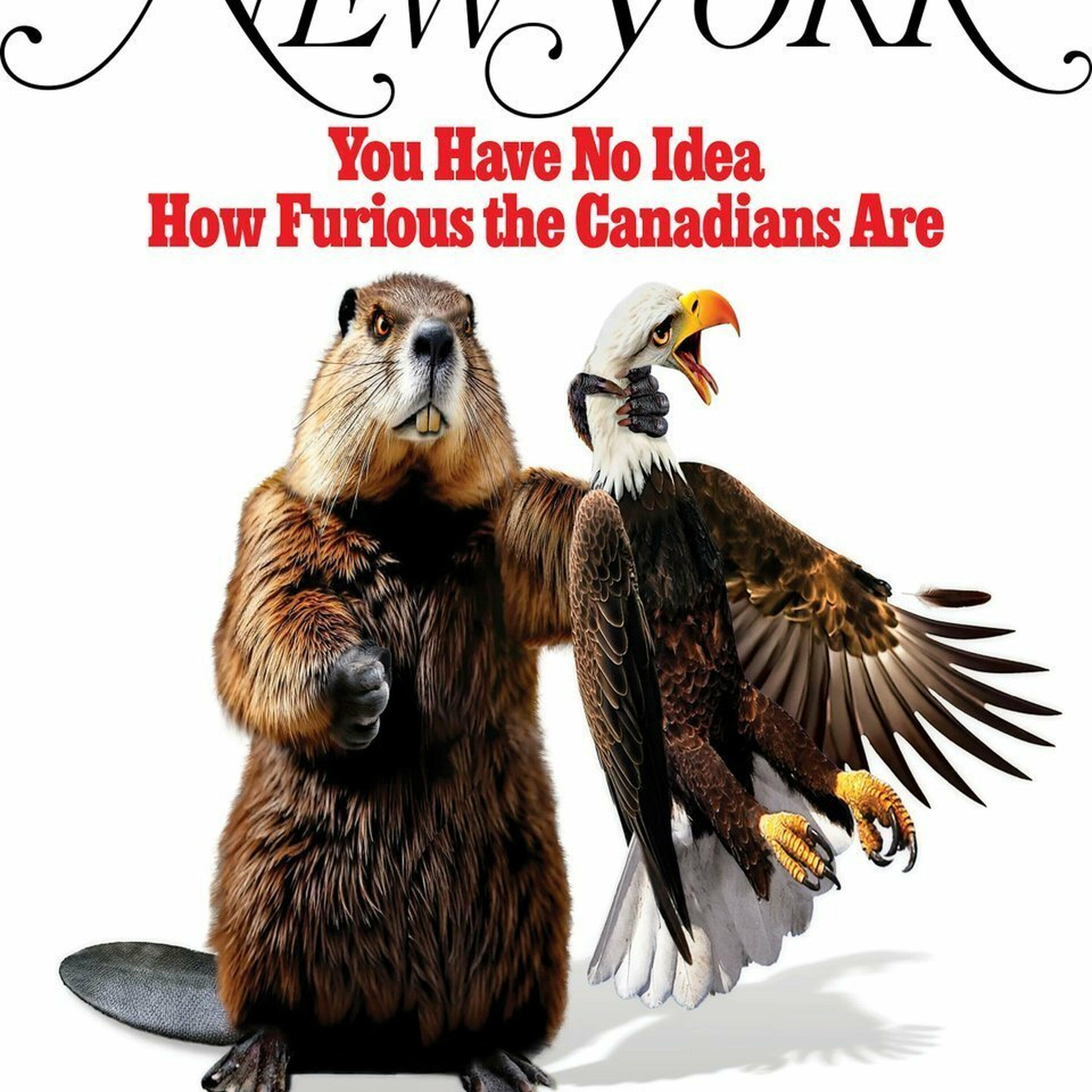 American journalist takes a trip to Canada to witness just how done Canadians are with the US