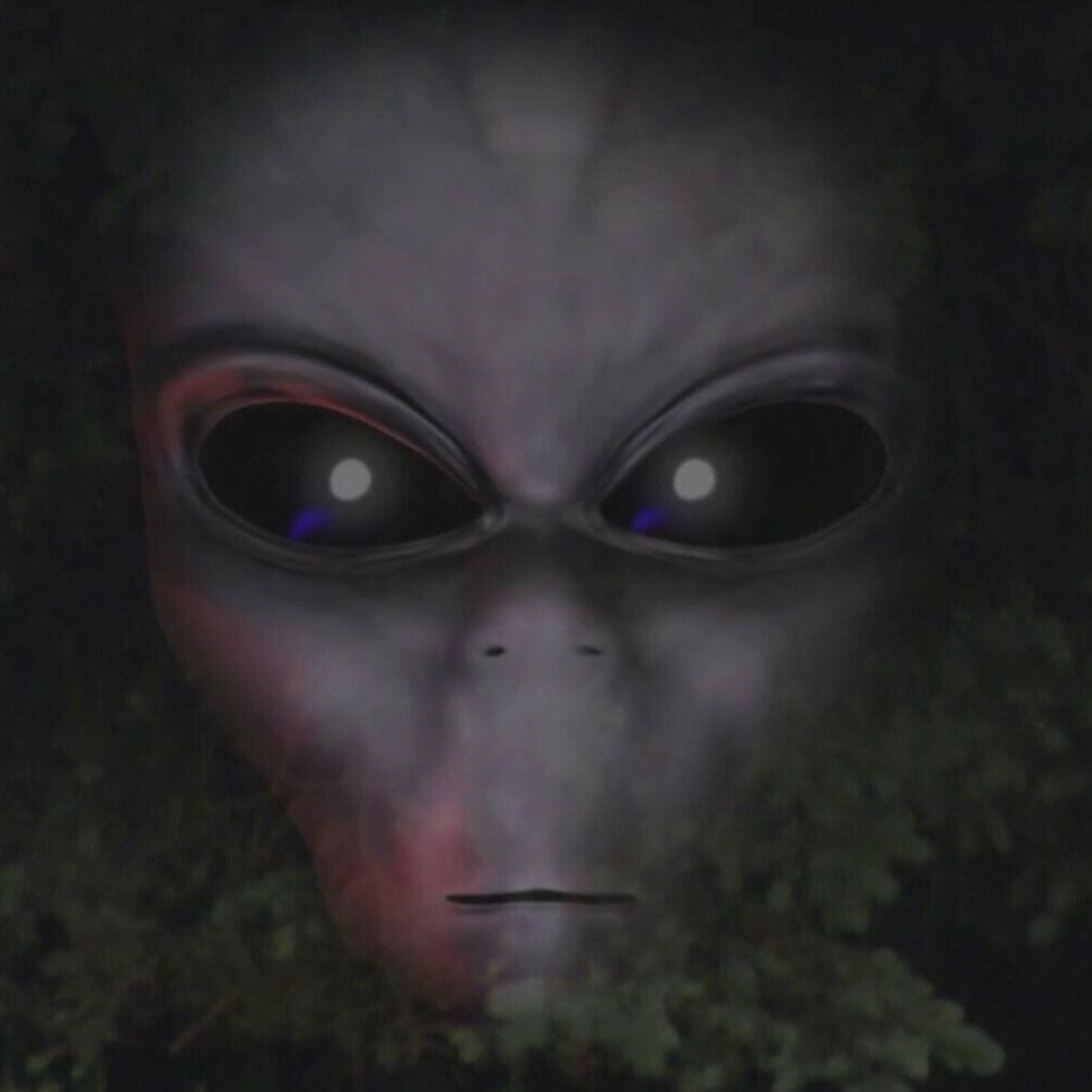 VKS: Does Canada need a government department for UFOs?
