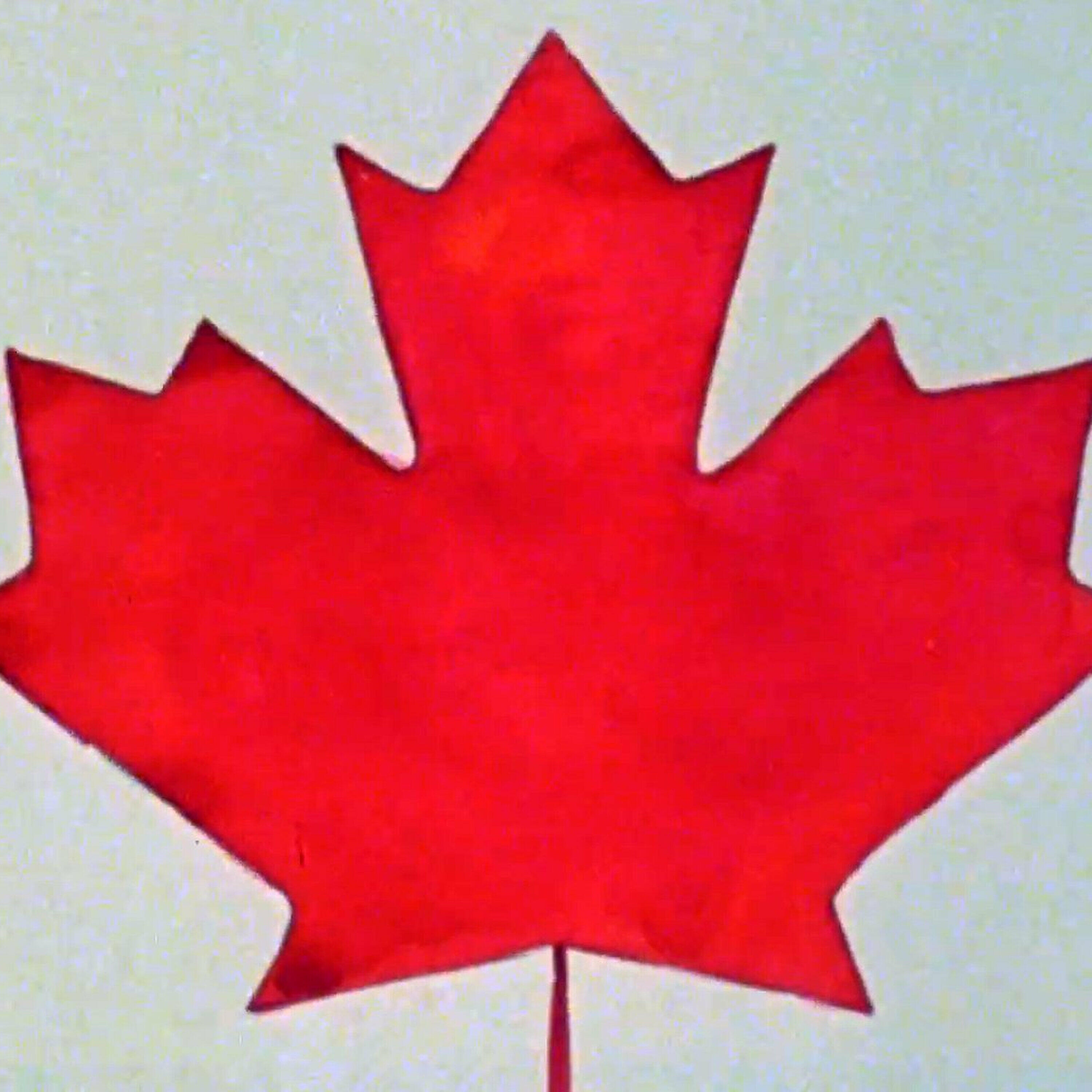Ottawa Now - How will Carney's 'Buy Canadian' policy impact Canada's economy?