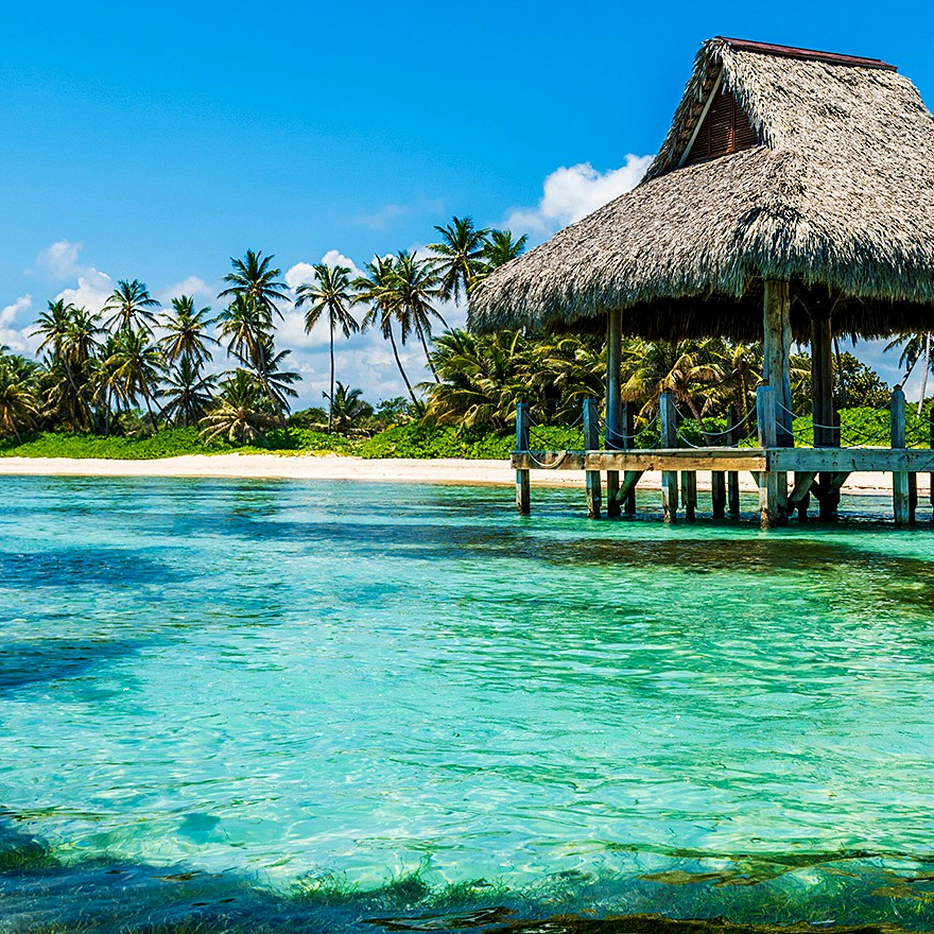 The Morning Rush - Canadian recounts experience after being detained in Dominican Republic