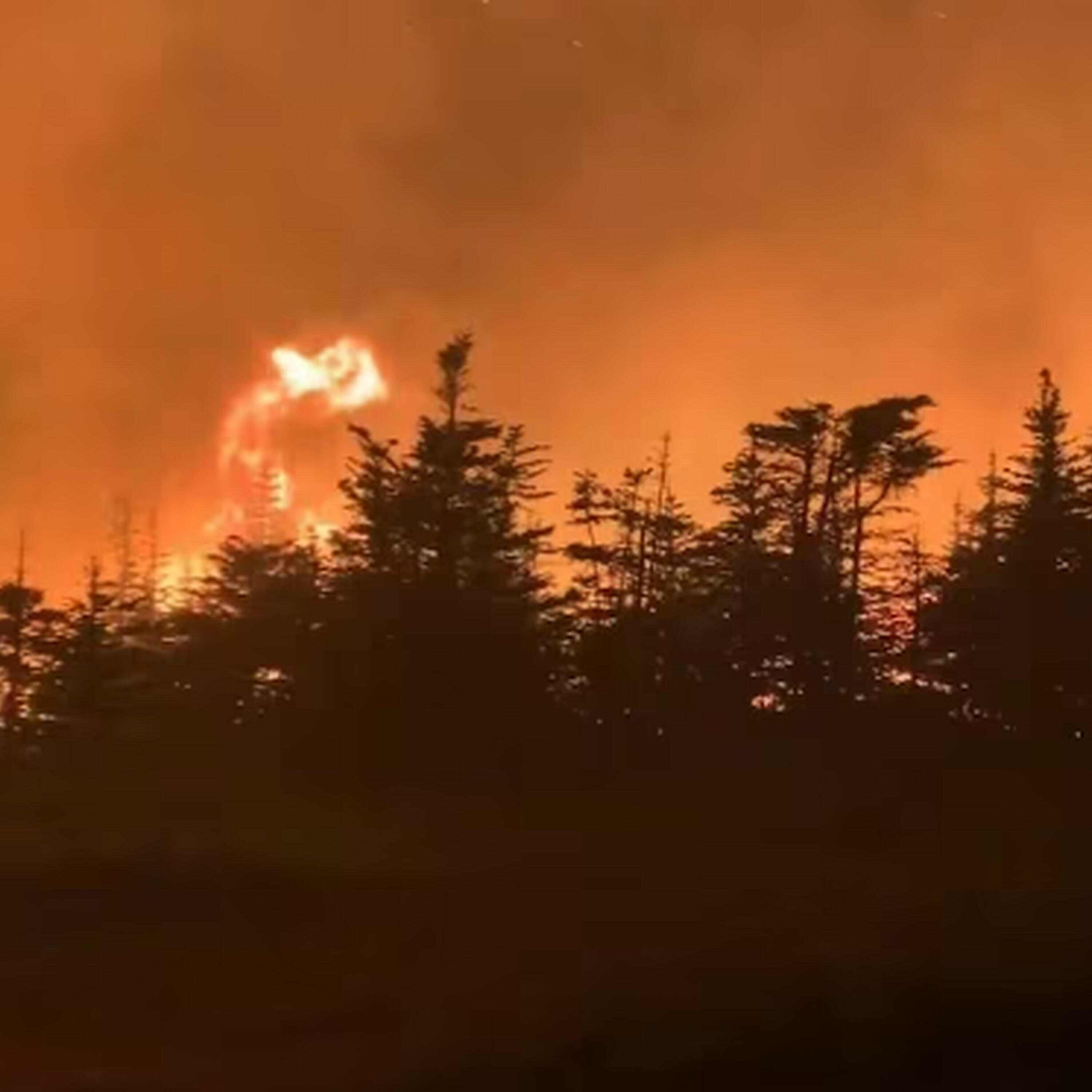 The Morning Rush - ‘There’s just too many fires’: Calls grow for national wildfire agency