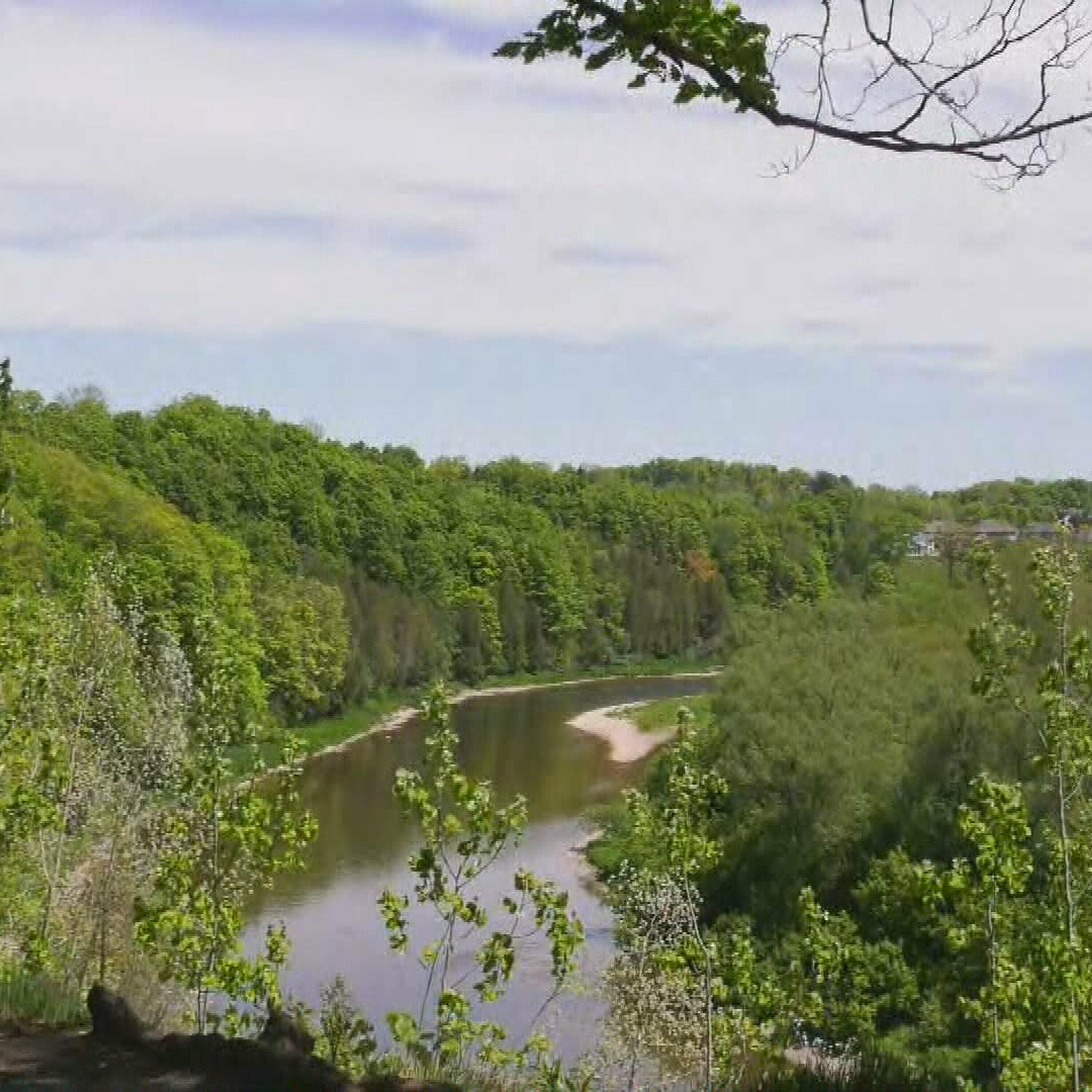 Nature Conservancy of Canada launches 5th annual 'Big Backyard BioBlitz'