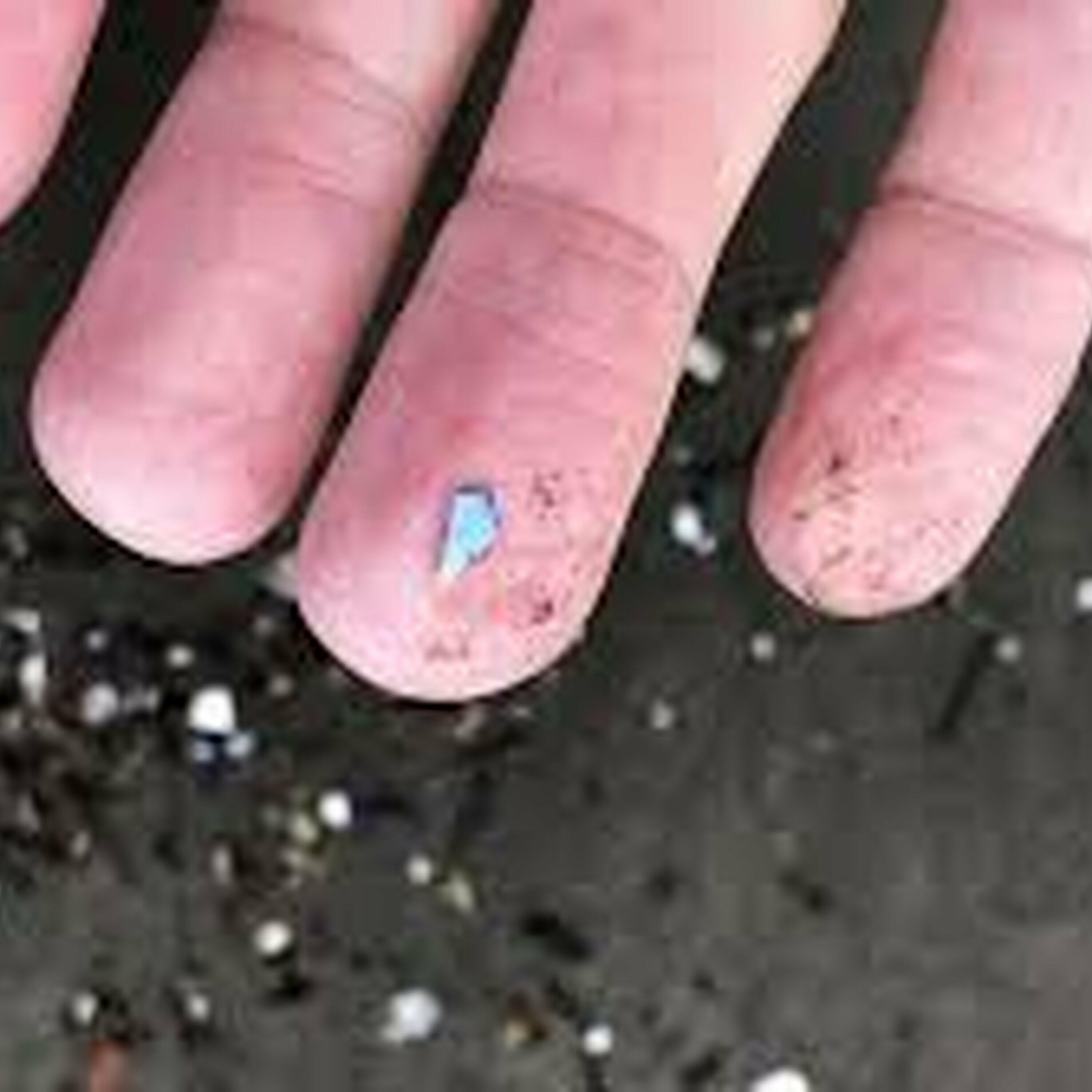 CFRA Live - A deep-dive into whether 'microplastics' can negatively impact our health