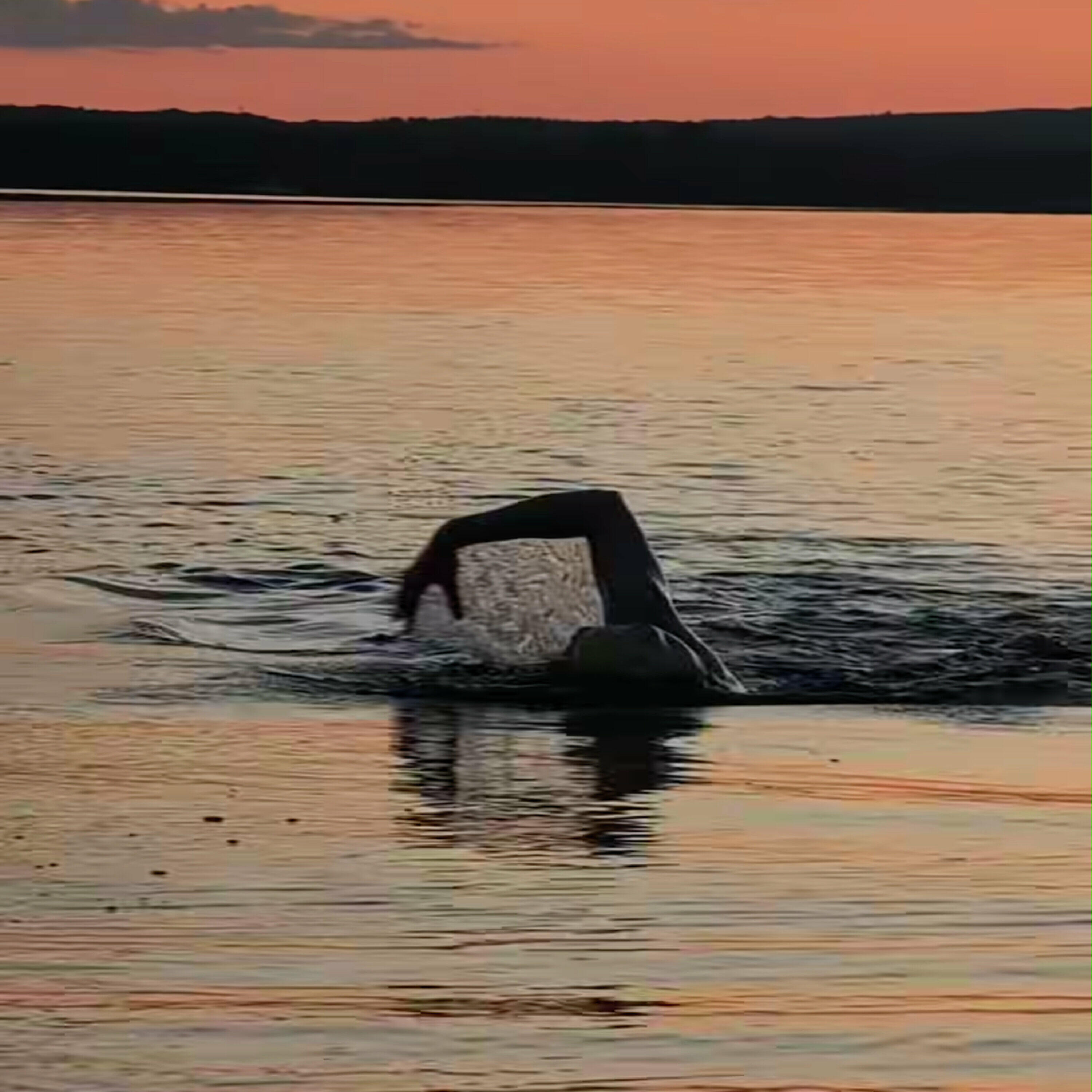 'Whole range of emotions': what it takes to finish a 50km swim and fundraising for the Ottawa Riverkeeper with Sarah Dobbin