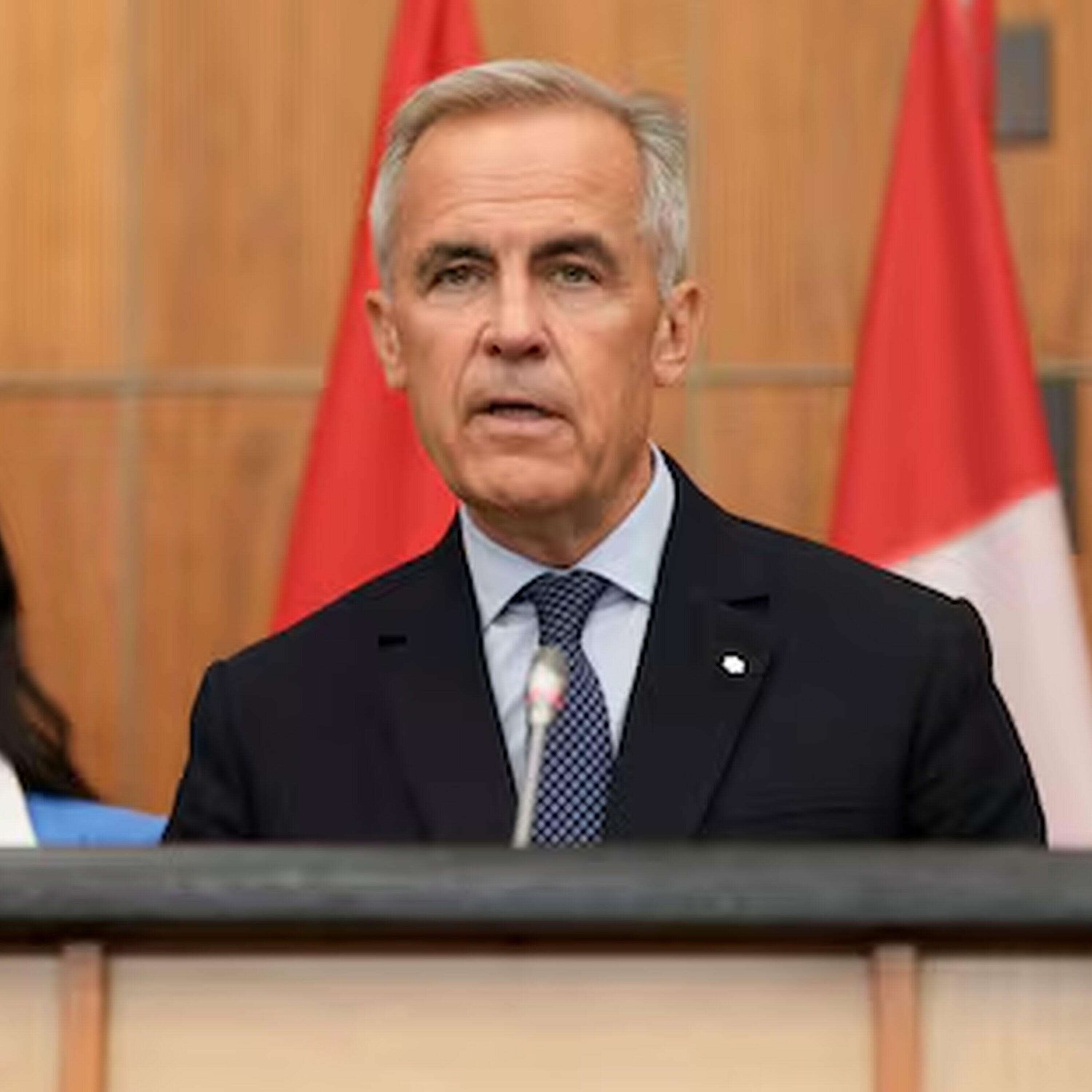 VKS: PM Carney will recognize Palestinian statehood at U.N.