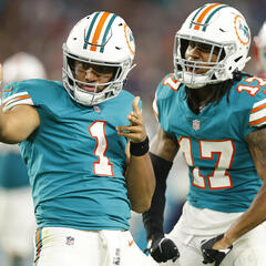 Il faut vraiment croire aux chances des Dolphins de Miami cette année! - Rudesse excessive