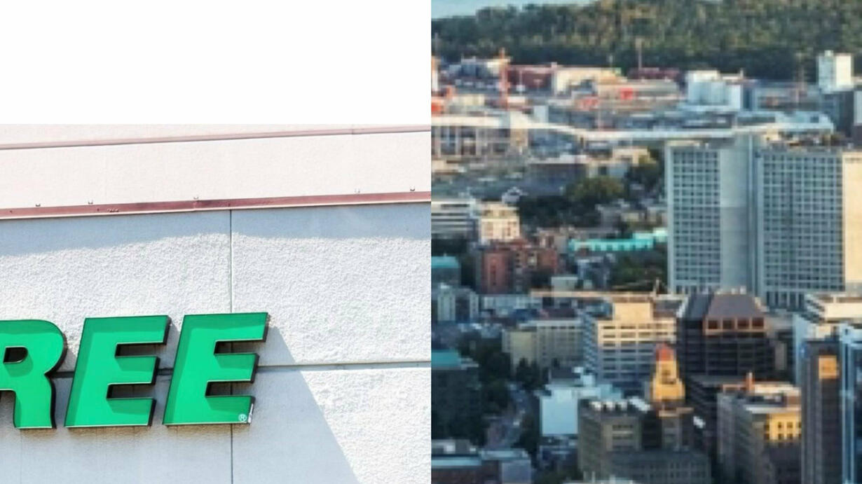DOLLAR TREE Opening Two Locations In Atlantic Canada! Kat Sound