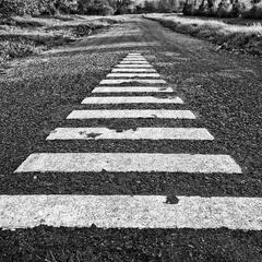 "It’s actually something that affects every municipality across the country.” @TimTierney, VP at @fcm_online, explains to @MooreintheAM how road lines are fading faster after environmental rule change.  - Moore in the Morning - Sound Bites