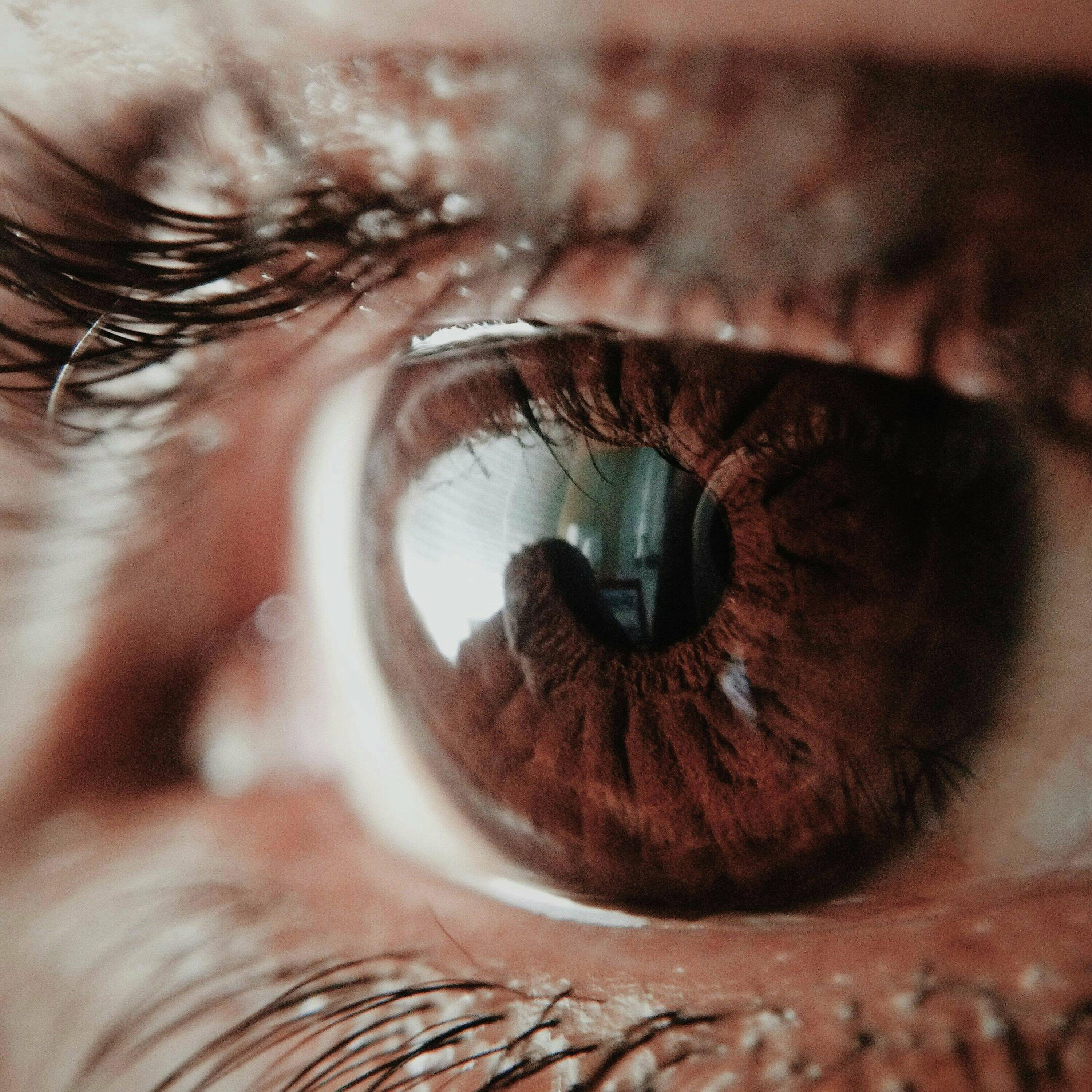 Canadian Smart Glasses solve vision loss!