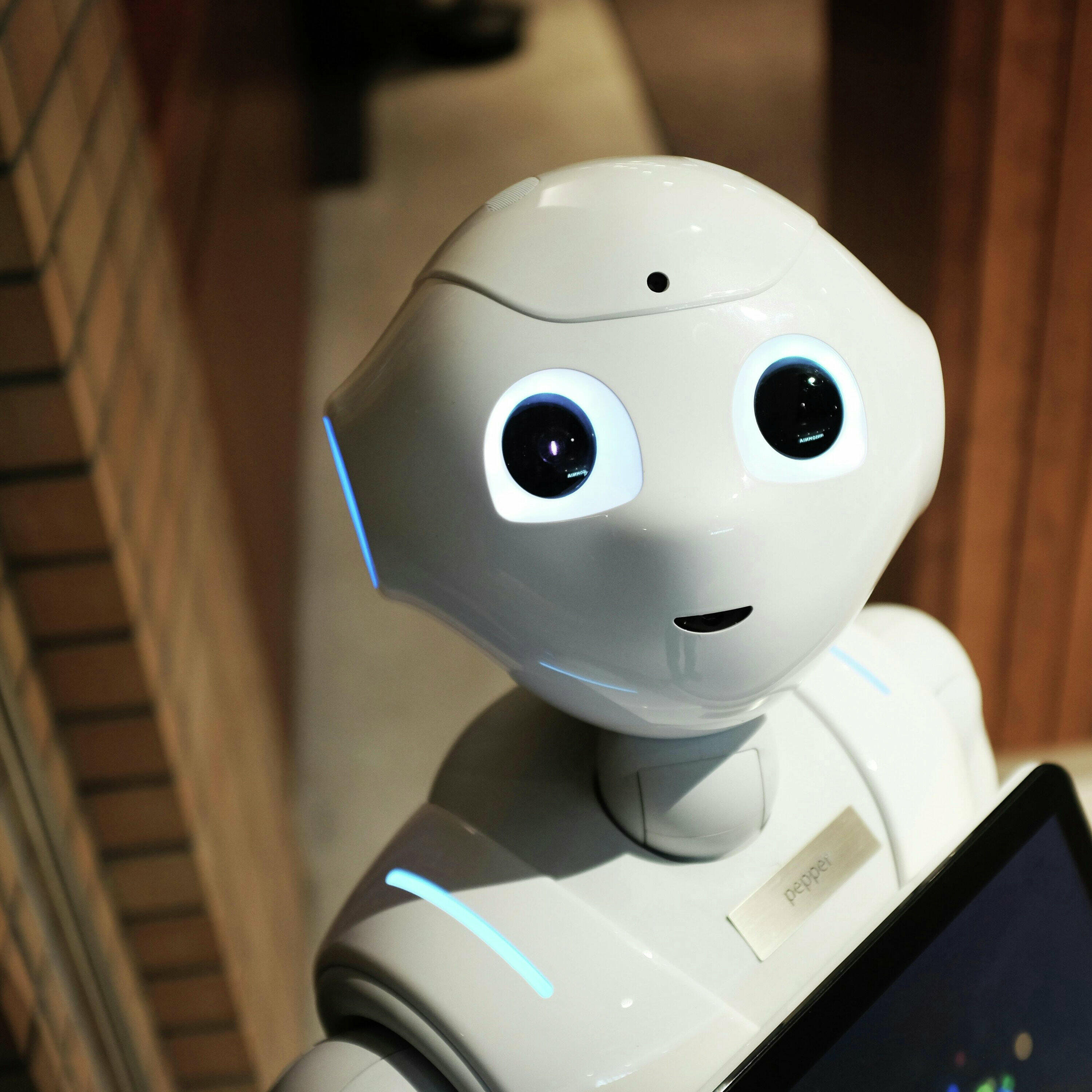 Abel: The Robots are coming! The Robots are coming!