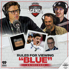 "Rules For Viewing Blue" - The Agenda