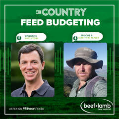 The Country with Beef + Lamb New Zealand Episode 3:  Feed Budgeting  - The Country