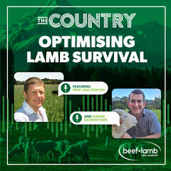 The Country: Optimising Lamb Survival Ep.2 with Professor Paul Kenyon and Geordie Eade - The Country