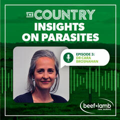 The Country: Insights on Parasites Ep.3 with Dr Cara Brosnahan - The Country