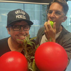 Wet Fruit - The Daily Bespoke November 7 - The Hauraki Breakfast Podcast