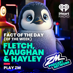 Fletch, Vaughan & Hayley's Fact of the Day (of the Week!) - Antarctica! - ZM's Fletch, Vaughan & Hayley
