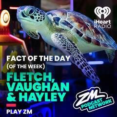 Fletch, Vaughan & Hayley's Fact of the Day (of the Week!) - Vast Ocean Week! - ZM's Fletch, Vaughan & Hayley