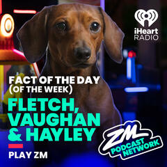 Fletch, Vaughan & Hayley's Fact of the Day (of the Week!) - Things that were named after the places they were invented! - Fact Of The Day