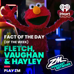 Fletch, Vaughan & Hayley's Fact of the Day (of the Week!) - Sesame St Week! - ZM's Fletch, Vaughan & Hayley