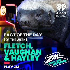 Fletch, Vaughan & Hayley's Fact of the Day (of the Week!) - Honey Badger Week! - ZM's Fletch, Vaughan & Hayley