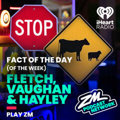 Fletch, Vaughan & Hayley's Fact of the Day (of the Week!) - Road Signs Week! - ZM's Fletch, Vaughan & Hayley