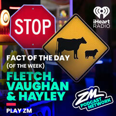 Fletch, Vaughan & Hayley's Fact of the Day (of the Week!) - Road Signs Week! - Fact Of The Day