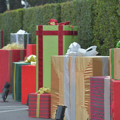 Holiday Hope - Making A Sister Smile With Joy - Ellen K Morning Show On Demand