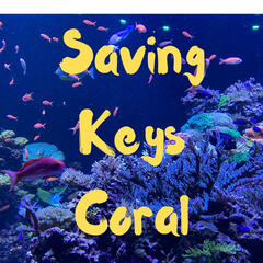 Coral Crossbreeding -- Keri O' Neil FL Aquarium - Beyond the News WFLA Interviews