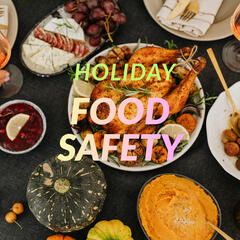 Holiday Food Safety - Jill Roberts PhD USF - Beyond the News WFLA Interviews