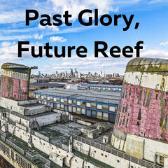 Ocean Liner Becomes Florida Reef - Alex Fogg Okaloosa County - Beyond the News WFLA Interviews