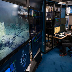 Dr Monty Graham - USF Deep Sea ROV - Beyond the News WFLA Interviews