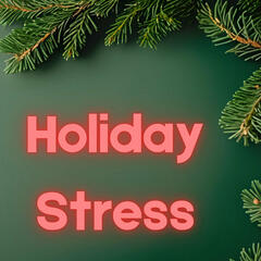 Holiday Stress and Anxiety - Dr Ryan Wagoner USF - Beyond the News WFLA Interviews