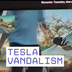 Meredith Censullo - Bradenton Police Looking for Tesla Vandal Suspect - Beyond the News WFLA Interviews