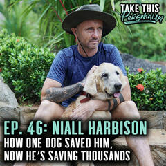 Love, Loss & Street Dogs: Niall's Story of Second Chances - Take This Personally with Morgan Huelsman
