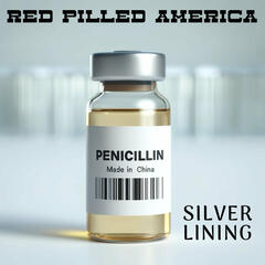 Silver Lining - Red Pilled America