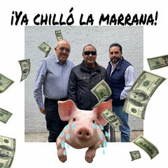 Ya chilló la marrana llegó la quincena en Espacio Deportivo de la Tarde 15 de julio 2025 - Espacio Deportivo de la Tarde