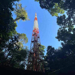 The Wild with Chris Morgan