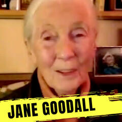 ⏮️ From The Archives: DR JANE GOODALL (Exclusive Chat) - JAM Nation with Jonesy & Amanda