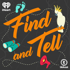 What is Find And Tell? - Find and Tell