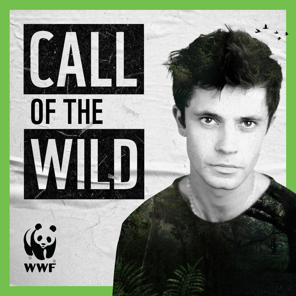 Call Of The Wild