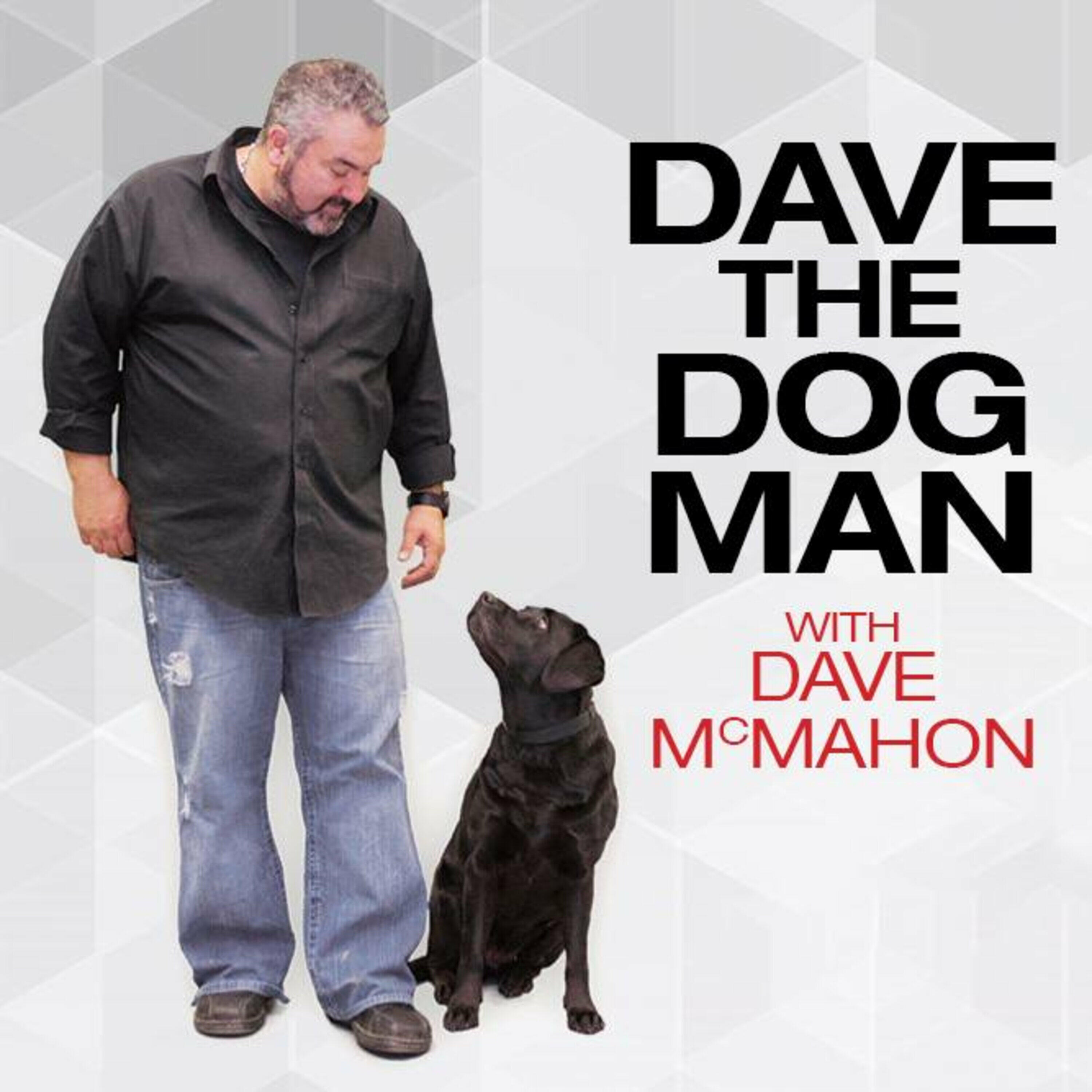 Dave the Dog Man - Audio Bites