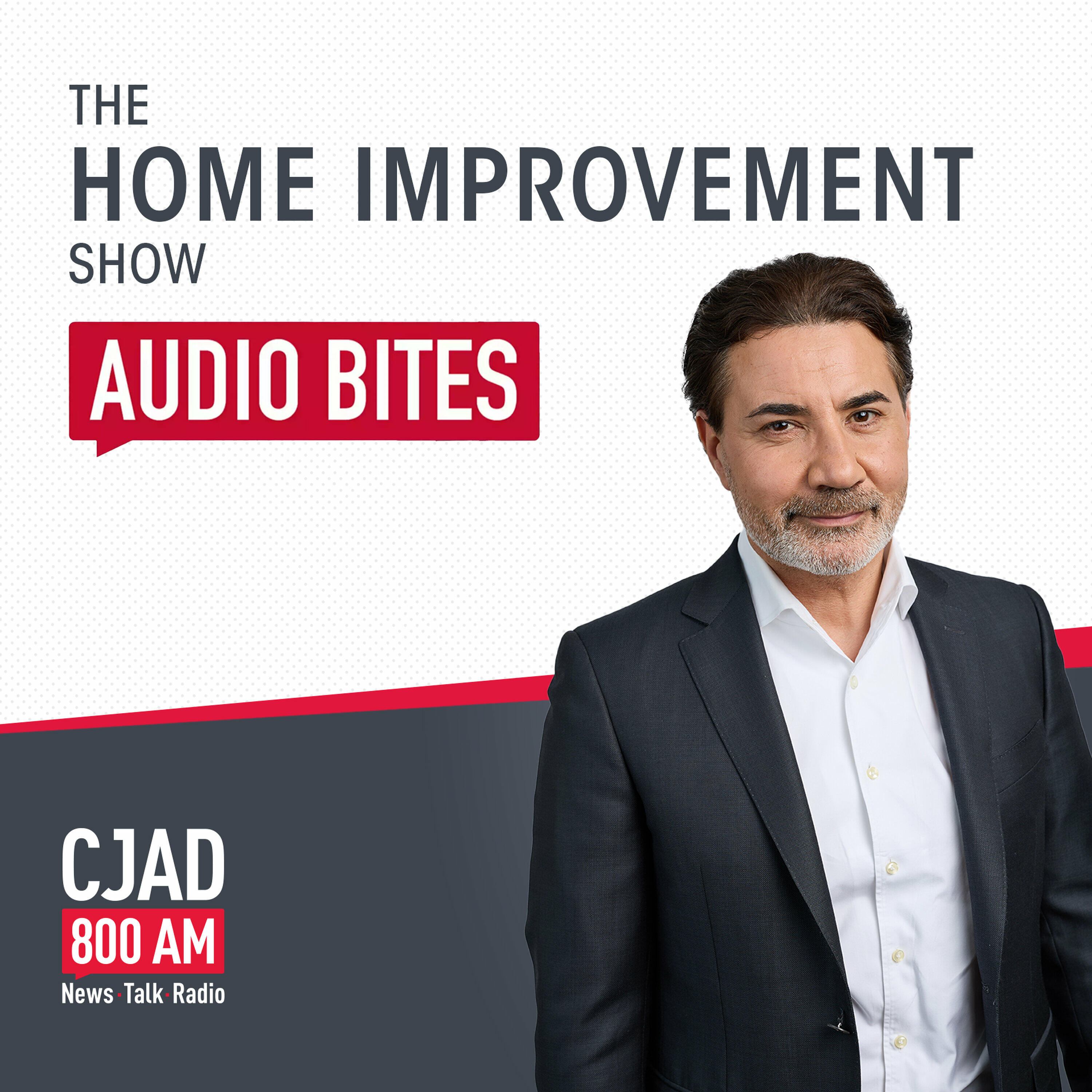The Home Improvement Show