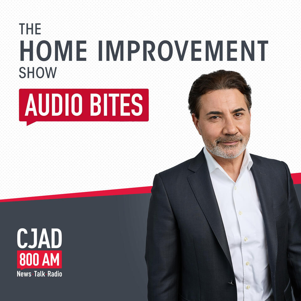 The Home Improvement Show