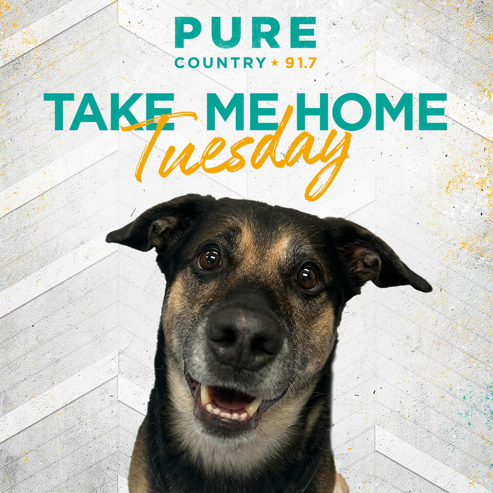 Take Me Home Tuesday