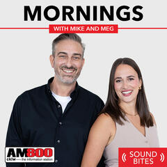 Downtown Windsor Events Fund - Mornings with Mike and Meg - Sound Bites