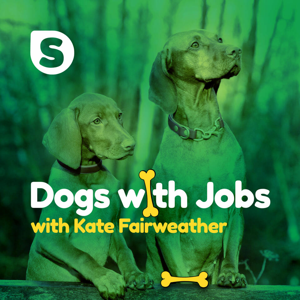 Dogs with Jobs